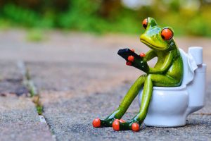 frog on toilet