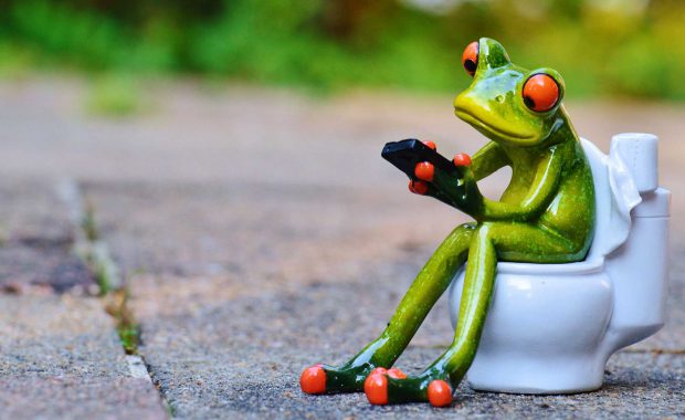 frog on toilet